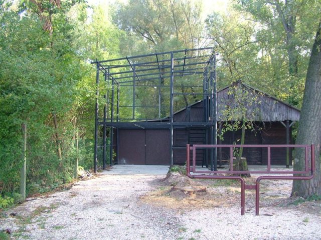 DSCF0249 (Medium)